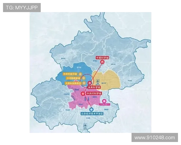 北京排球队的节奏解析与未来发展趋势探讨