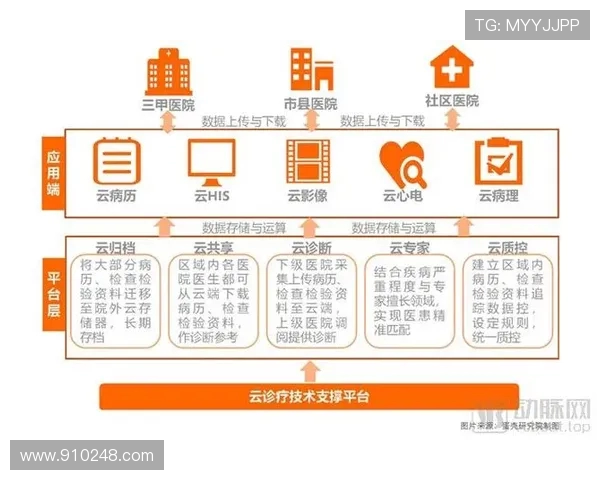 南京极限运动队技术表现分析与数据洞察探讨