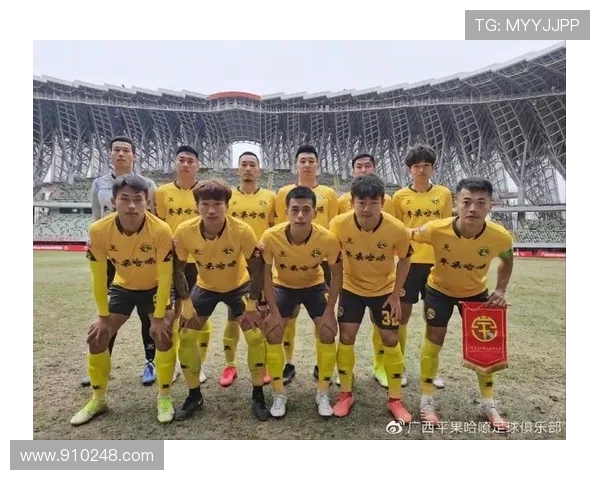 南京足球队与成都足球队赛后分析实力对比与表现总结