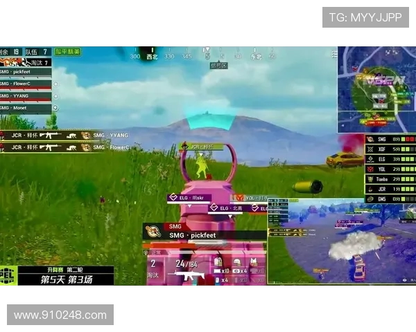 聚焦和平精英TES战队心理素质对比赛表现的影响与探讨