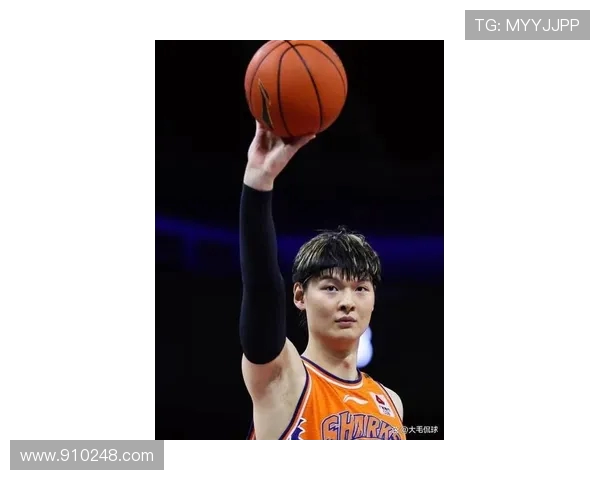 王哲林的篮球之路:从青涩新星到CBA巨星的辉煌历程与未来展望 王哲林的篮球之路:从青涩新星到CBA巨星的辉煌历程与未来展望