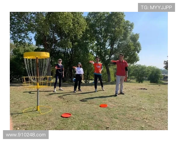 飞盘盛宴：深入解析上海飞盘队的默契配合与战术策略