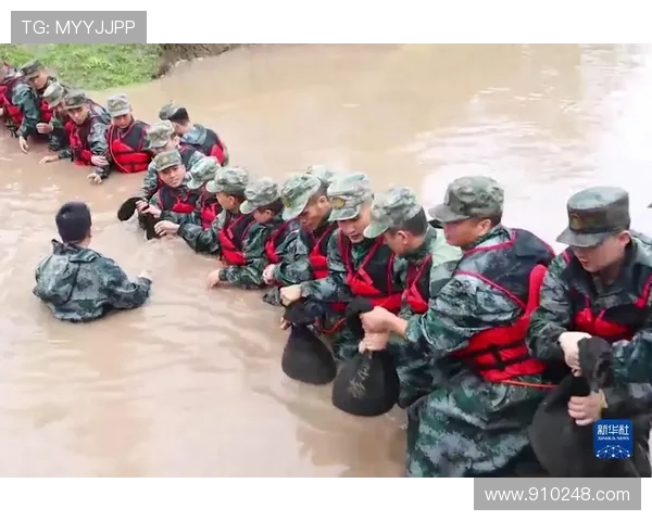 南京攀岩队区域防守分析与战术调整探讨