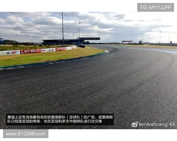 武汉排球队耐力表现引发热议球迷与专家观点交锋激烈