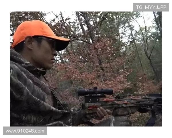 深入分析北京攀岩队区域防守战术及其在比赛中的应用与效果