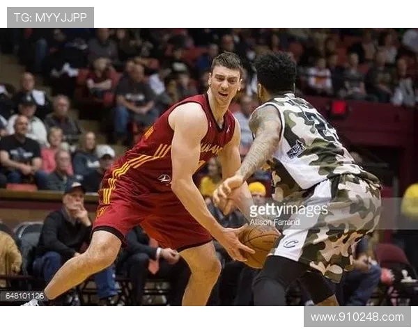 深度对话刘磊分享篮球人生的奋斗与梦想之路