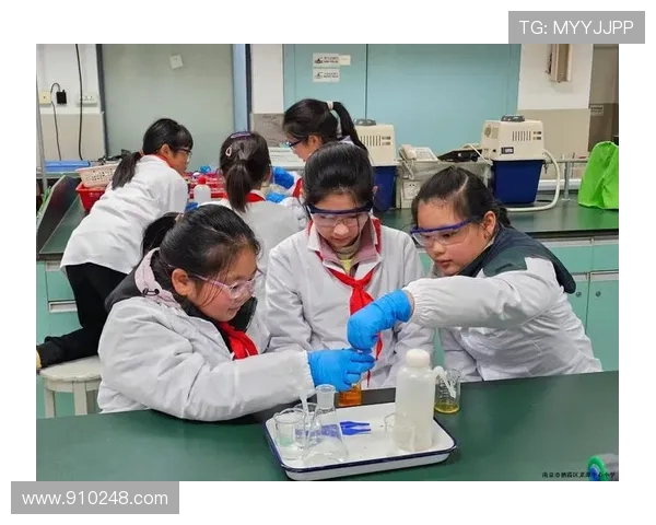 杨丽的羽毛球人生深度对话探索她的奋斗与梦想之路