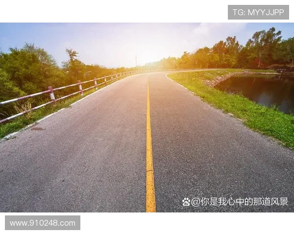 武汉排球队的蜕变之路：世锦赛背后的奋斗与希望